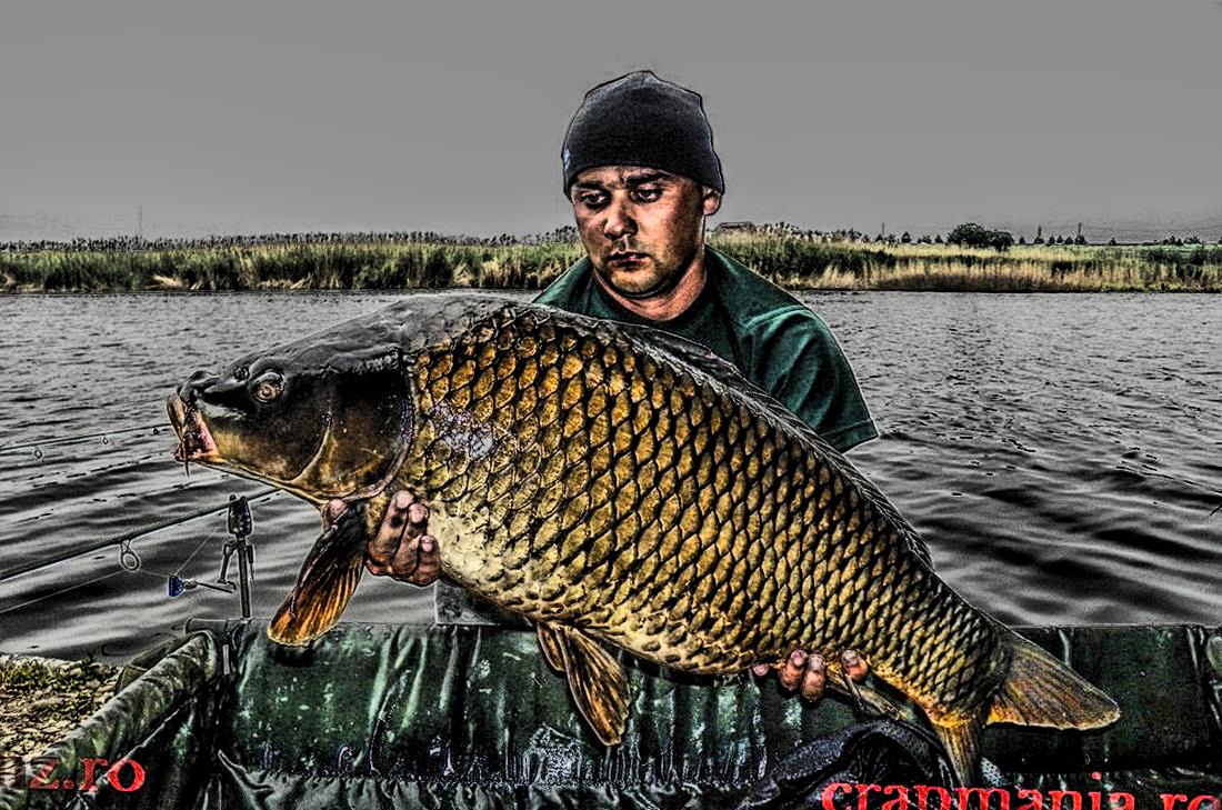 Crapmania (3) - 2013 - 1010427-2hdrmode2.JPG